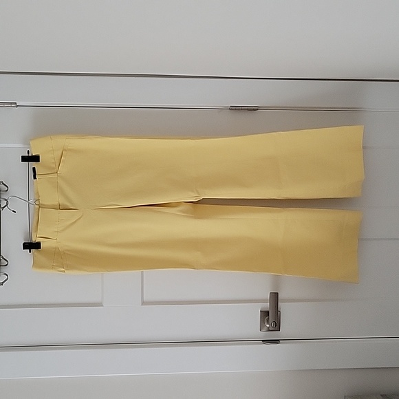 The Limted Exact Stretch Classic Flare Pants - Picture 12 of 12